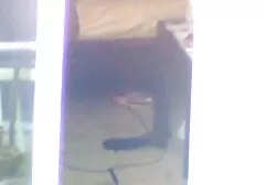 学生は乱交パーティーで女の子とセックスを交わす 一徹 エロ